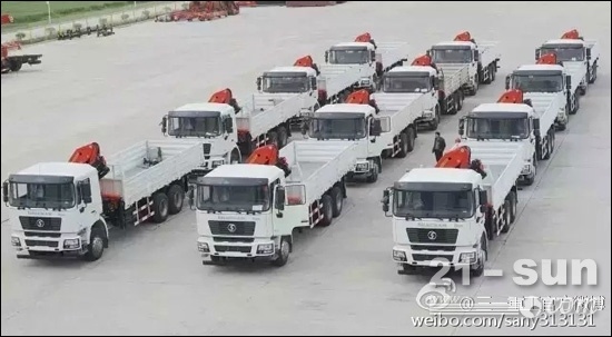 起重機(jī)運輸途中